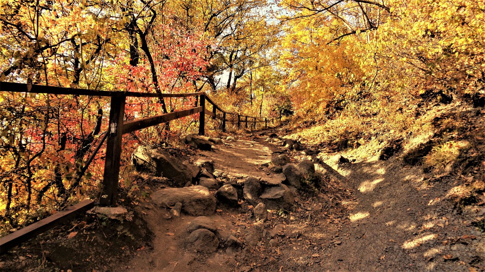 310484257 3434580250103069 8061589872575405337 n másolata