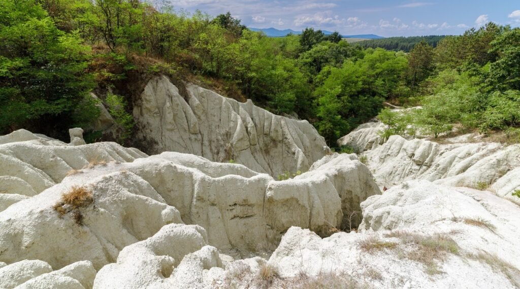 A környékről kazar